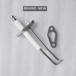 Biasi advance electrode BI1663106 Brand New